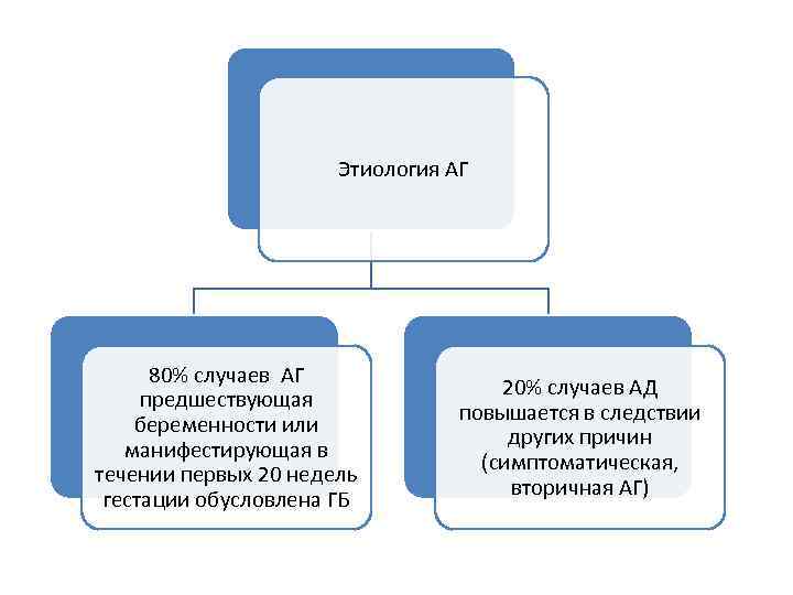 Этиология АГ 80% случаев АГ предшествующая беременности или манифестирующая в течении первых 20 недель