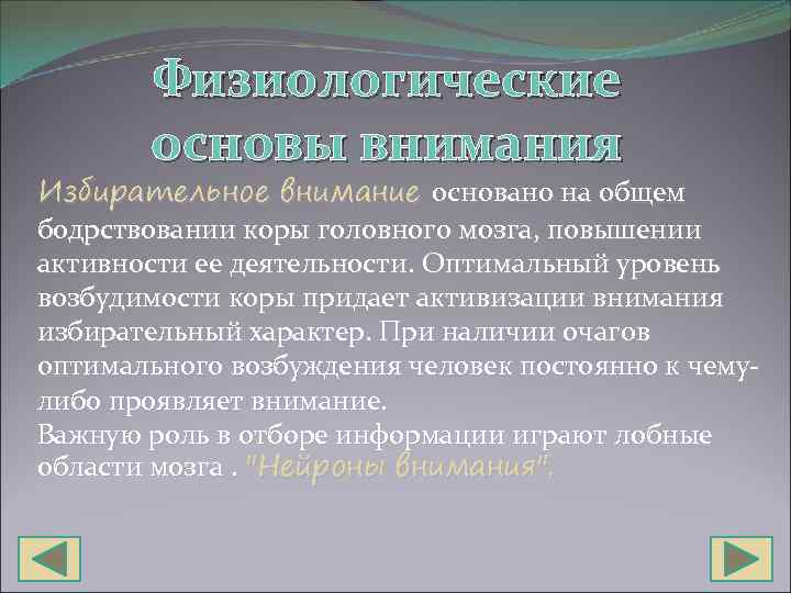 Физиологические основы внимания Избирательное внимание основано на общем бодрствовании коры головного мозга, повышении активности