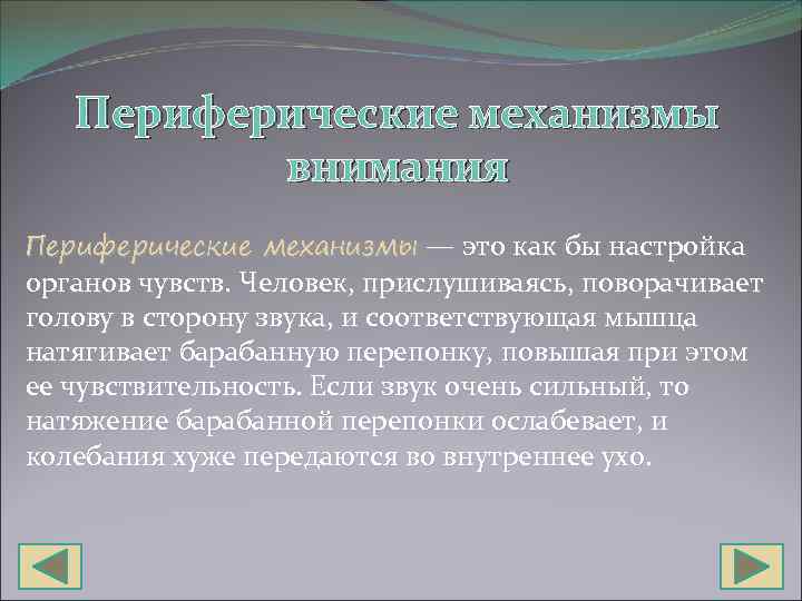 Периферические механизмы внимания Периферические механизмы — это как бы настройка органов чувств. Человек, прислушиваясь,