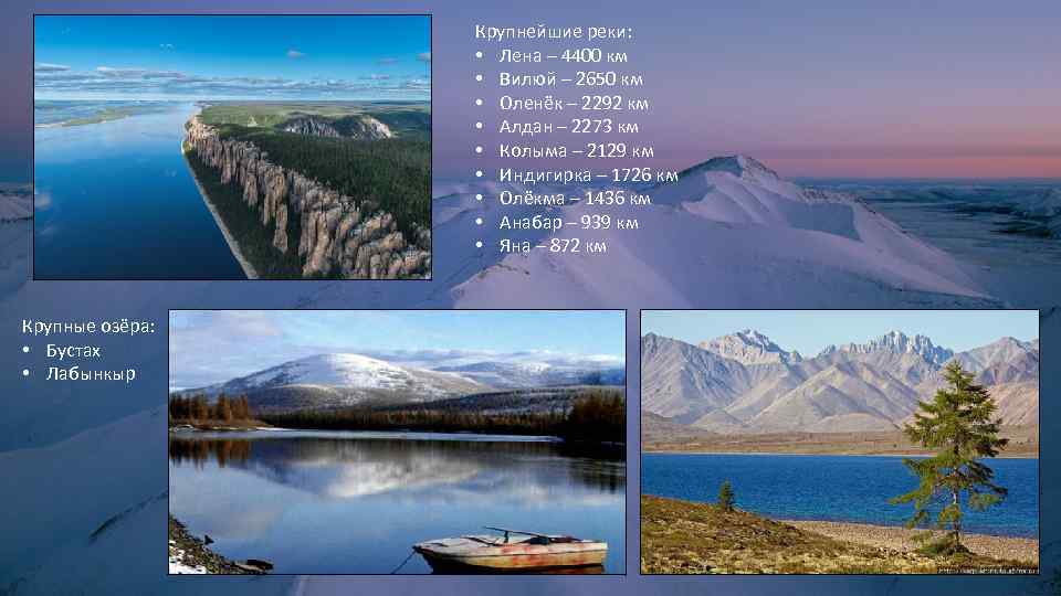 Крупнейшие реки: • Лена – 4400 км • Вилюй – 2650 км • Оленёк