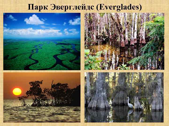 Парк Эверглейдс (Everglades) 