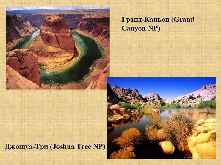 Гранд-Каньон (Grand Canyon NP) Джошуа-Три (Joshua Tree NP) 