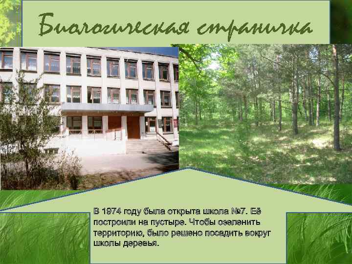 Биологическая страничка В 1974 году была открыта школа № 7. Её построили на пустыре.