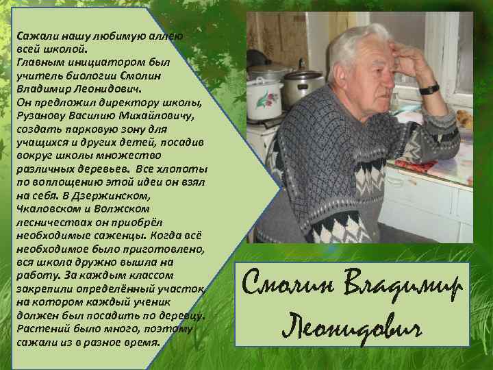 Сажали нашу любимую аллею всей школой. Главным инициатором был учитель биологии Смолин Владимир Леонидович.