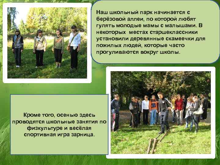 Наш школьный парк начинается с берёзовой аллеи, по которой любят гулять молодые мамы с