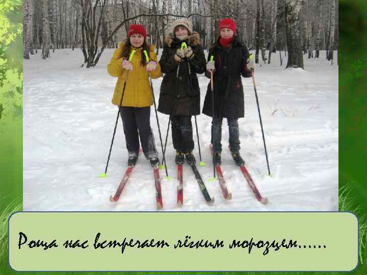 Роща нас встречает лёгким морозцем…… 