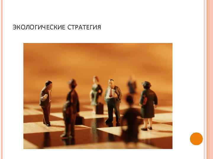 ЭКОЛОГИЧЕСКИЕ СТРАТЕГИЯ 