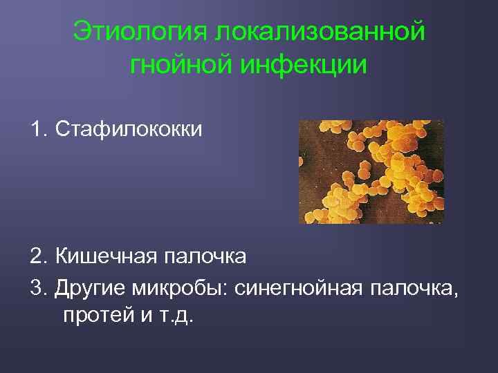 Этиология локализованной гнойной инфекции 1. Стафилококки 2. Кишечная палочка 3. Другие микробы: синегнойная палочка,