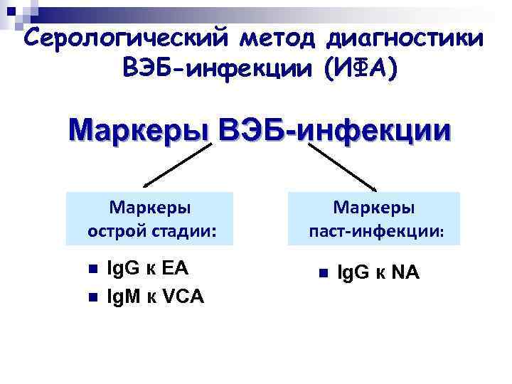 Серологический метод диагностики ВЭБ-инфекции (ИФА) Маркеры ВЭБ-инфекции Маркеры острой стадии: n n Ig. G