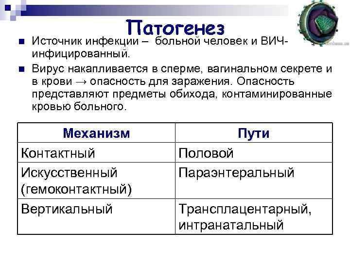 n n Патогенез Источник инфекции – больной человек и ВИЧинфицированный. Вирус накапливается в сперме,