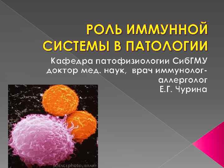 РОЛЬ ИММУННОЙ СИСТЕМЫ В ПАТОЛОГИИ Кафедра патофизиологии Сиб. ГМУ доктор мед. наук, врач иммунологаллерголог