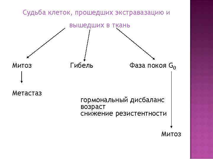 Судьба клеток, прошедших экстравазацию и вышедших в ткань Митоз Метастаз Гибель Фаза покоя G