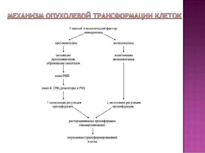 Патофизиология опухолевого роста презентация