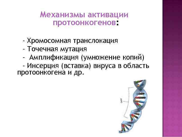 Механизмы активации протоонкогенов: - Хромосомная транслокация - Точечная мутация - Амплификация (умножение копий) -