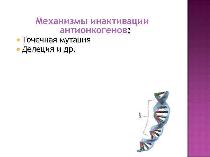 Механизмы инактивации антионкогенов: Точечная мутация Делеция и др. 