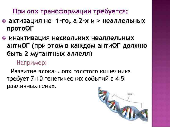 При опх трансформации требуется: активация не 1 -го, а 2 -х и > неаллельных