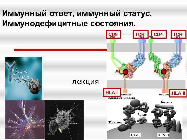 Иммунодефицитные состояния презентация