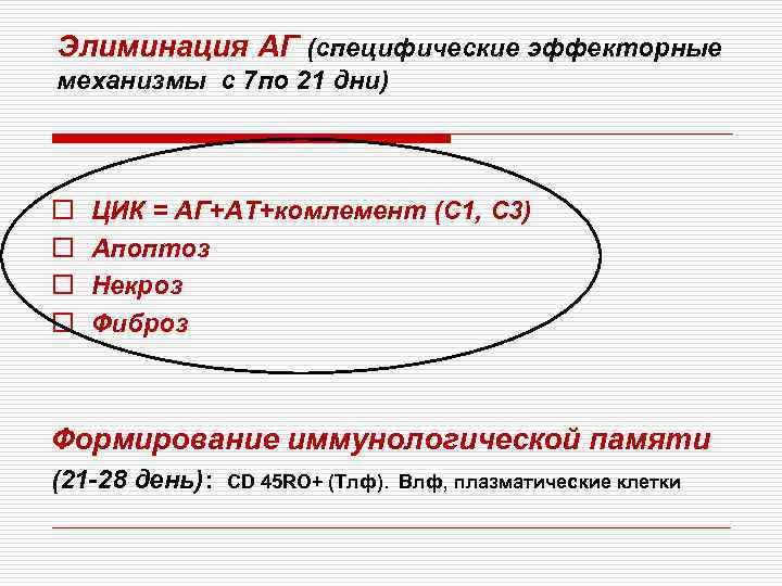 Элиминация АГ (специфические эффекторные механизмы с 7 по 21 дни) o o ЦИК =