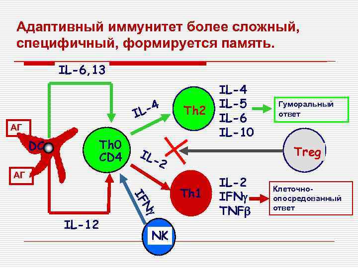 Диаграмма грамотность грамматика иммунитет драма