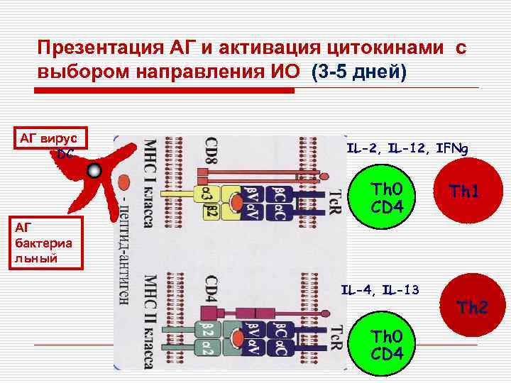 Презентация АГ и активация цитокинами с выбором направления ИО (3 -5 дней) АГ вирус