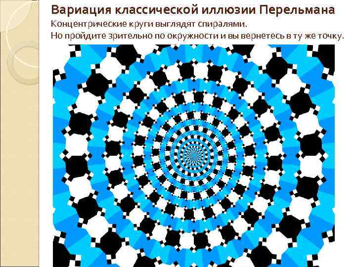 Вариация классической иллюзии Перельмана Концентрические круги выглядят спиралями. Но пройдите зрительно по окружности и