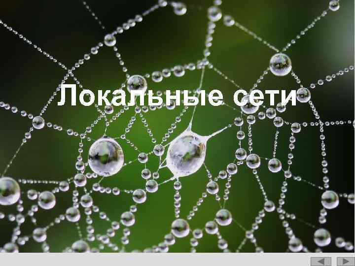 Локальные сети 