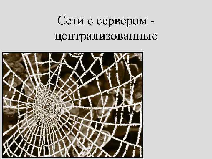 Сети с сервером - централизованные 