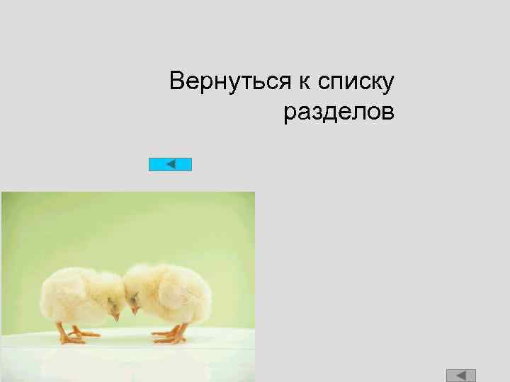 Вернуться к списку разделов 