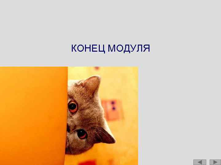 КОНЕЦ МОДУЛЯ 