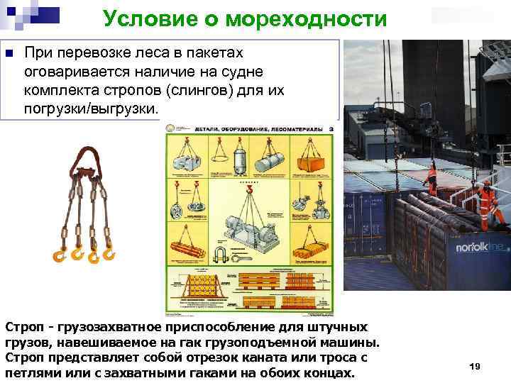 Условие о мореходности n При перевозке леса в пакетах оговаривается наличие на судне комплекта