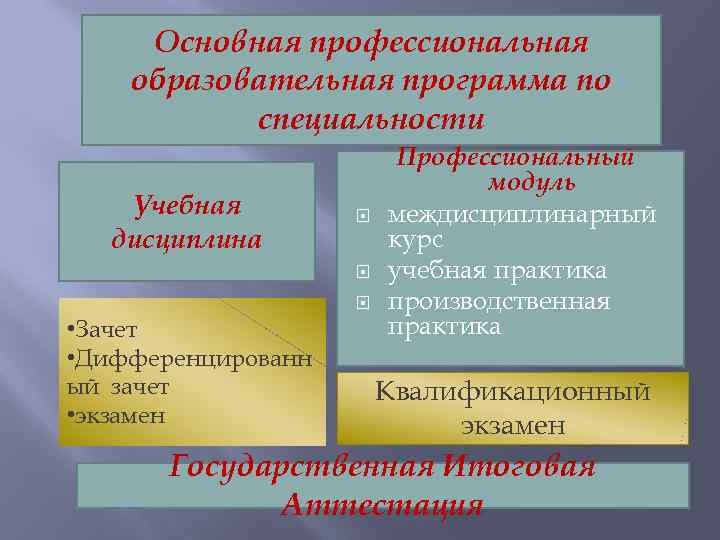Основная профессиональная образовательная программа по специальности Учебная дисциплина • Зачет • Дифференцированн ый зачет
