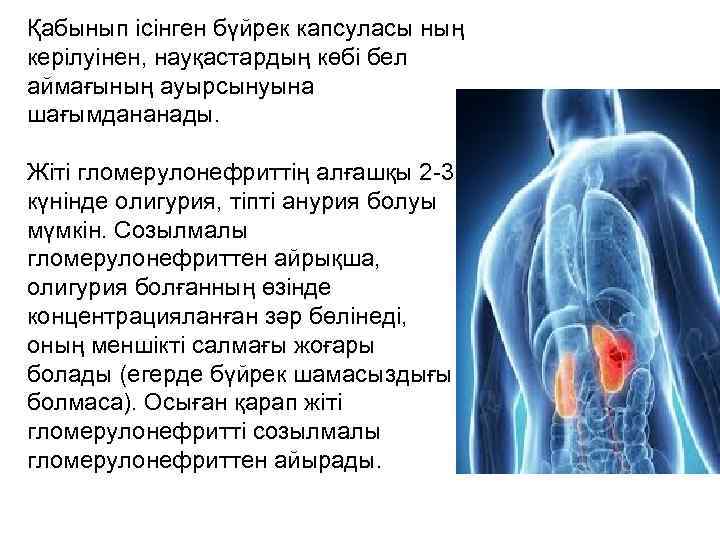 Қабынып ісінген бүйрек капсуласы ның керілуінен, науқастардың көбі бел аймағының ауырсынуына шағымдананады. Жіті гломерулонефриттің