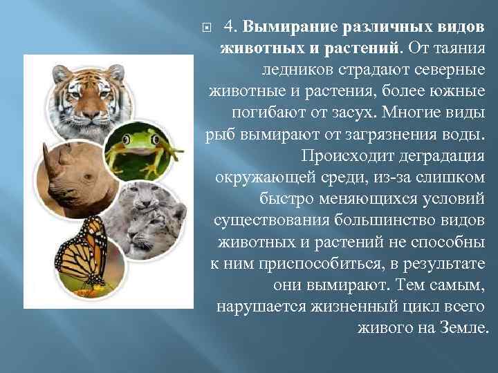 4. Вымирание различных видов животных и растений. От таяния ледников страдают северные животные и