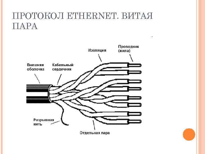 ПРОТОКОЛ ETHERNET. ВИТАЯ ПАРА 