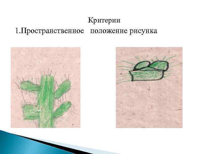 Критерии 1. Пространственное положение рисунка 