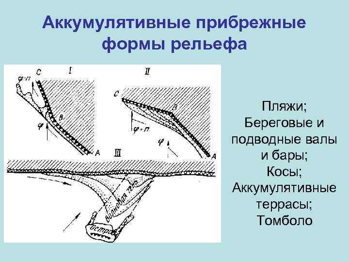 Аккумулятивные прибрежные формы рельефа Пляжи; Береговые и подводные валы и бары; Косы; Аккумулятивные террасы;