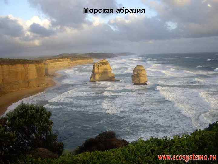 . Морская абразия 