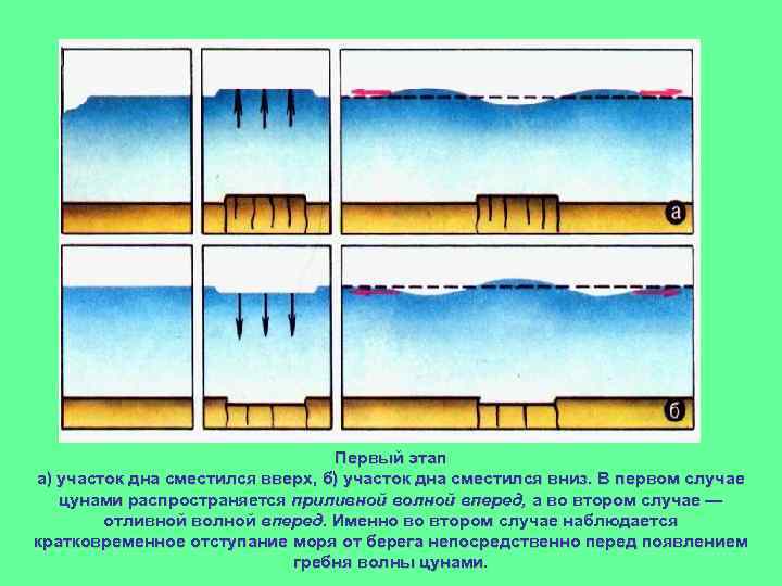 Первый этап а) участок дна сместился вверх, б) участок дна сместился вниз. В первом