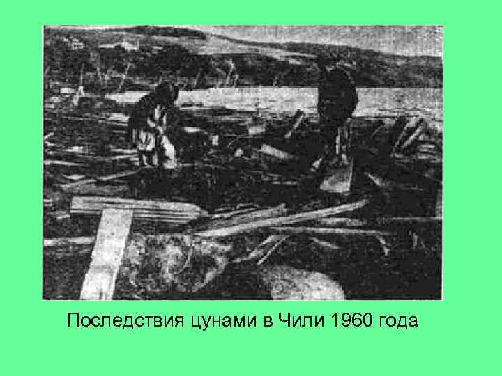 Последствия цунами в Чили 1960 года 