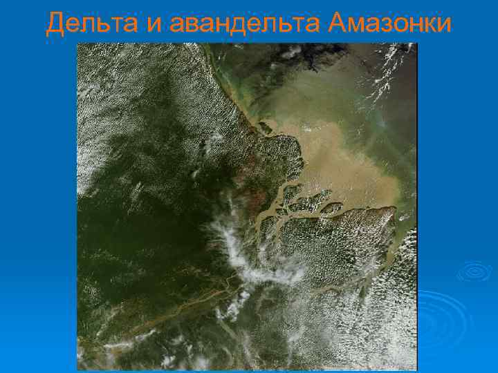 Дельта и авандельта Амазонки космоснимок 