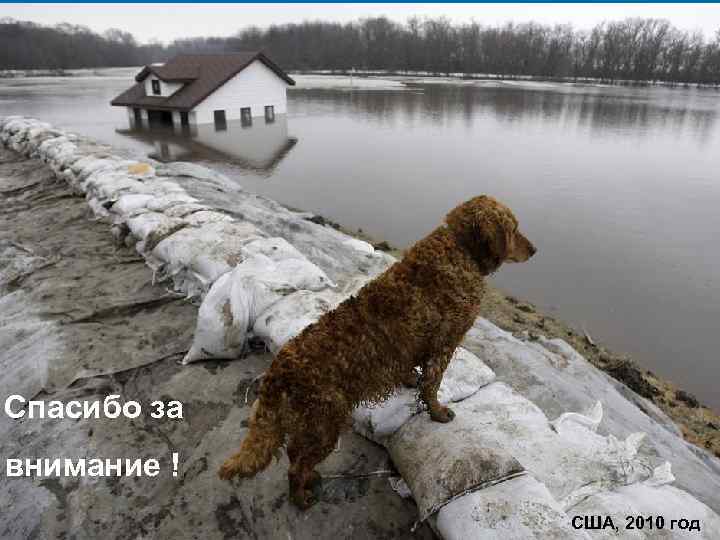 Спасибо за внимание ! США, 2010 год 