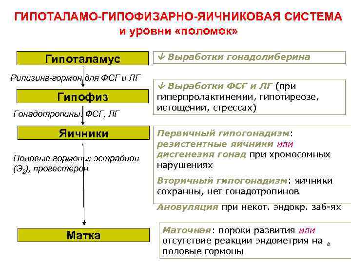 ГИПОТАЛАМО-ГИПОФИЗАРНО-ЯИЧНИКОВАЯ СИСТЕМА и уровни «поломок» Гипоталамус Рилизинг-гормон для ФСГ и ЛГ Гипофиз Гонадотропины: ФСГ,