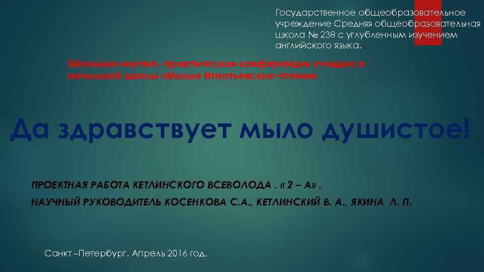 Государственное общеобразовательное учреждение Средняя общеобразовательная школа № 238 с углубленным изучением английского языка. Школьная