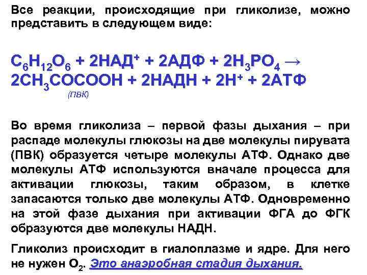 Все реакции, происходящие при гликолизе, можно представить в следующем виде: С 6 Н 12