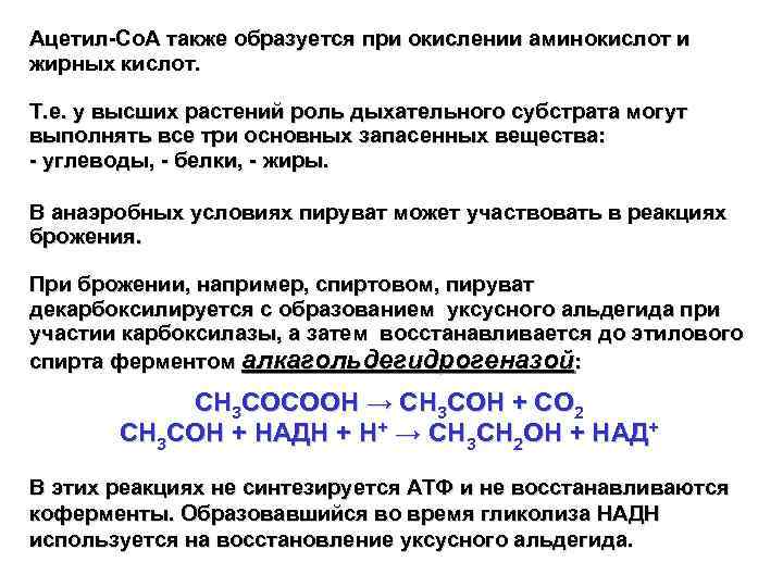 Ацетил-Со. А также образуется при окислении аминокислот и жирных кислот. Т. е. у высших