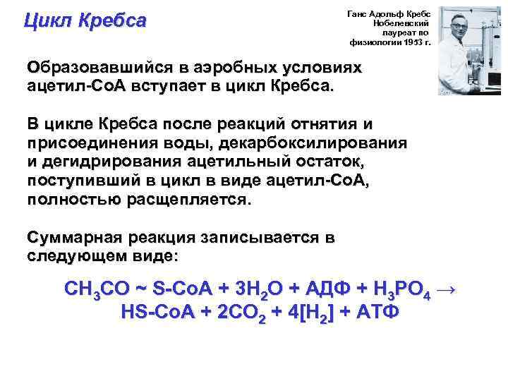 Цикл Кребса Ганс Адольф Кребс Нобелевский лауреат по физиологии 1953 г. Образовавшийся в аэробных