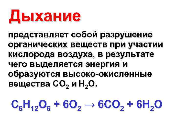 Дыхание представляет собой разрушение органических веществ при участии кислорода воздуха, в результате чего выделяется