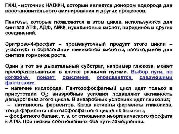 ПФЦ - источник НАДФН, который является донором водорода для восстановительного аминирования и других процессов.