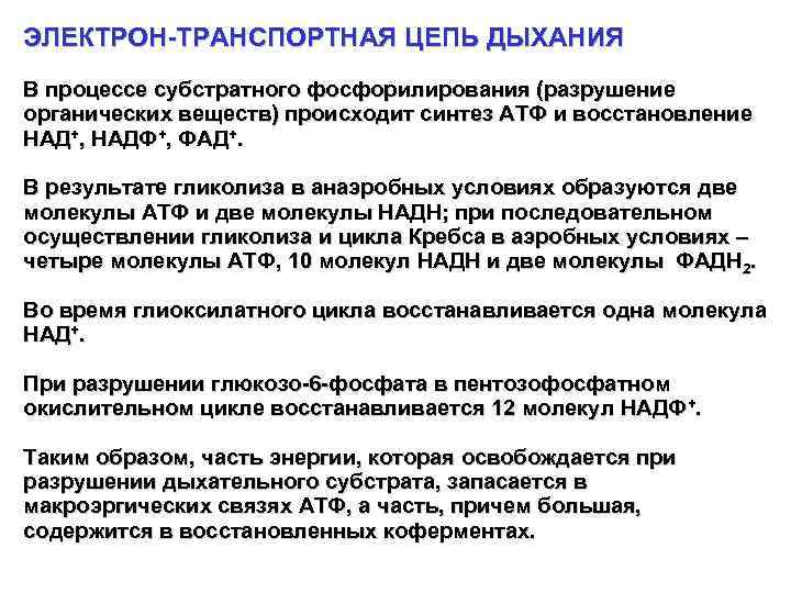 ЭЛЕКТРОН-ТРАНСПОРТНАЯ ЦЕПЬ ДЫХАНИЯ В процессе субстратного фосфорилирования (разрушение органических веществ) происходит синтез АТФ и