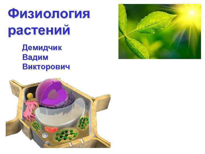 Физиология растений Демидчик Вадим Викторович 